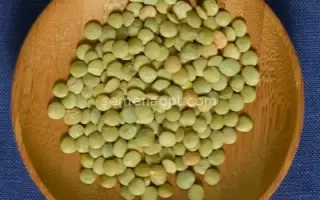 ПЕТРОВСКАЯ 4/105