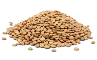 ДОНСКАЯ КРАСНОЗЕРНАЯ