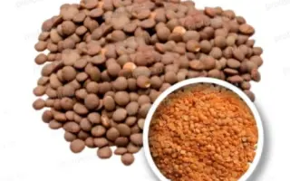 ОРЛОВСКАЯ КРАСНОЗЕРНАЯ