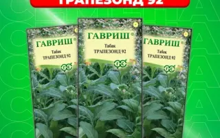 ТРАПЕЗОНД 162