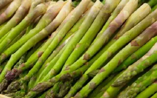 ГУЭЛФ ЭКЛИПС