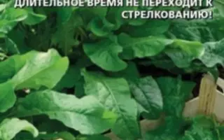 ПЫШНАЯ ОСОБА