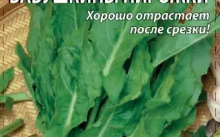 БАБУШКИНЫ ПИРОЖКИ