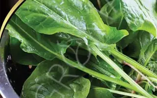 ЗИМНИЙ ЗАПАС