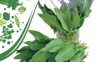 НИКОЛЬСКИЙ