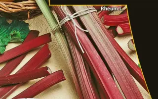 РУССКИЙ ДЕЛИКАТЕС