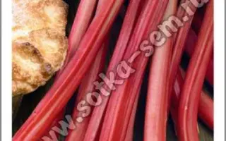 АЛТАЙСКИЕ ЗОРИ