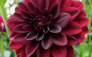 АРАБСКАЯ НОЧЬ