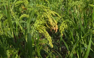 ВОЛГОГРАДСКАЯ 77