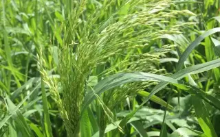 ЮБИЛЕЙНАЯ 20