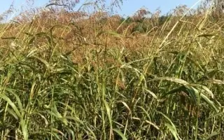 ЗОНАЛЬСКАЯ 6