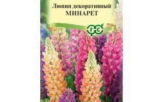 НОВОЗЫБКОВСКИЙ 100