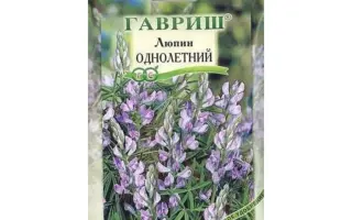 БЕЛОЗЕРНЫЙ 110