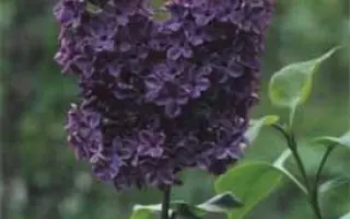 ВЕЧЕРНИЙ ВЛАДИВОСТОК