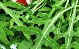 НЕАПОЛИТАНО