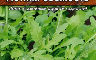 ЛЕТНЯЯ СВЕЖЕСТЬ