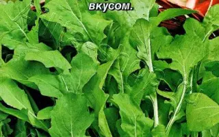 ИЗУМРУДНЫЕ УЗОРЫ