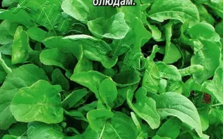 НА ЗДОРОВЬЕ