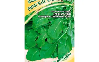 РИМСКИЕ КАНИКУЛЫ