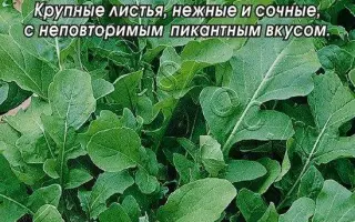 БУДЬ ЗДОРОВ