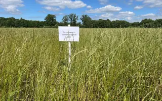 КАЛИНИНГРАДСКИЙ ВИК