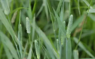 ЛЕНИНГРАДСКАЯ 204