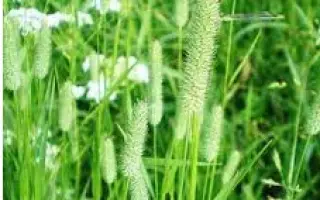 КАЗАЧИНСКАЯ 2