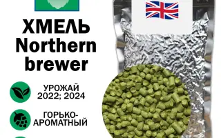 НОРТЕН БРЕВЕР