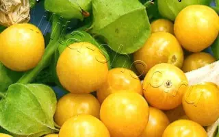 РАХАТ-ЛУКУМ