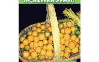 ОРАНЖЕВЫЙ ЖЕМЧУГ