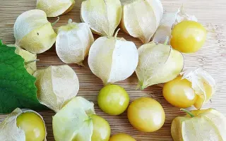 АНАНАСОВЫЙ