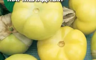 МАРМЕЛАДНЫЙ