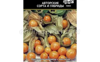 КОЛОКОЛЬЧИК