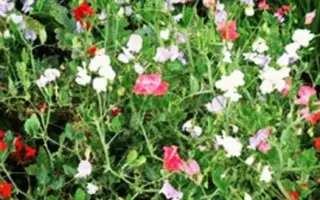 К 850-ЛЕТИЮ МОСКВЫ