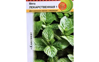 ЛЕКАРСТВЕННАЯ 1