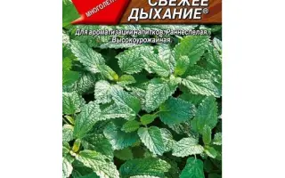 СВЕЖЕЕ ДЫХАНИЕ