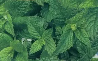 МАРЬИНСКАЯ СЕМКО