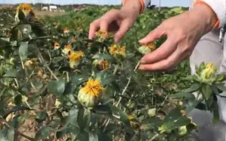 ПАМЯТИ КАПИТОНА НОВОЖИЛОВА