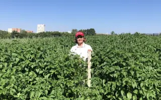 СИБИРСКИЙ ИЗУМРУД