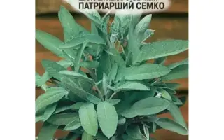 ПАТРИАРШИЙ СЕМКО
