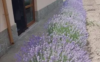 СЕВТОПОЛИС