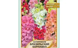 БРАЗИЛЬСКИЙ КАРНАВАЛ ЖЕЛТЫЙ