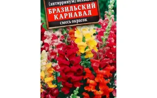 БРАЗИЛЬСКИЙ КАРНАВАЛ КРАСНЫЙ