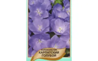 БРАЗИЛЬСКИЙ КАРНАВАЛ ФИОЛЕТОВЫЙ