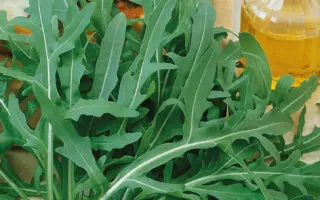 СТРЕЛЫ КУПИДОНА