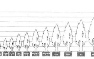 ОРЛОВСКИЙ ВП 3