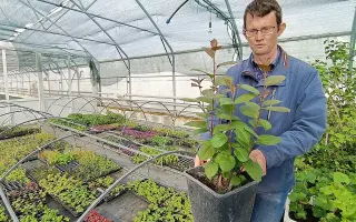 ПАМЯТИ СУНГОРКИНА