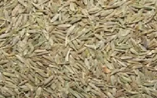 МОРШАНСКАЯ 143