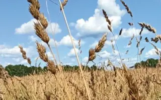 СВЕРДЛОВЧАНКА 86