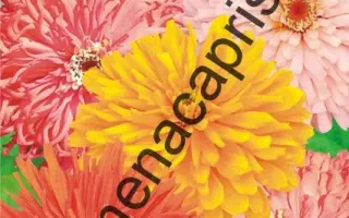 ВАЛЬС КАПРИС